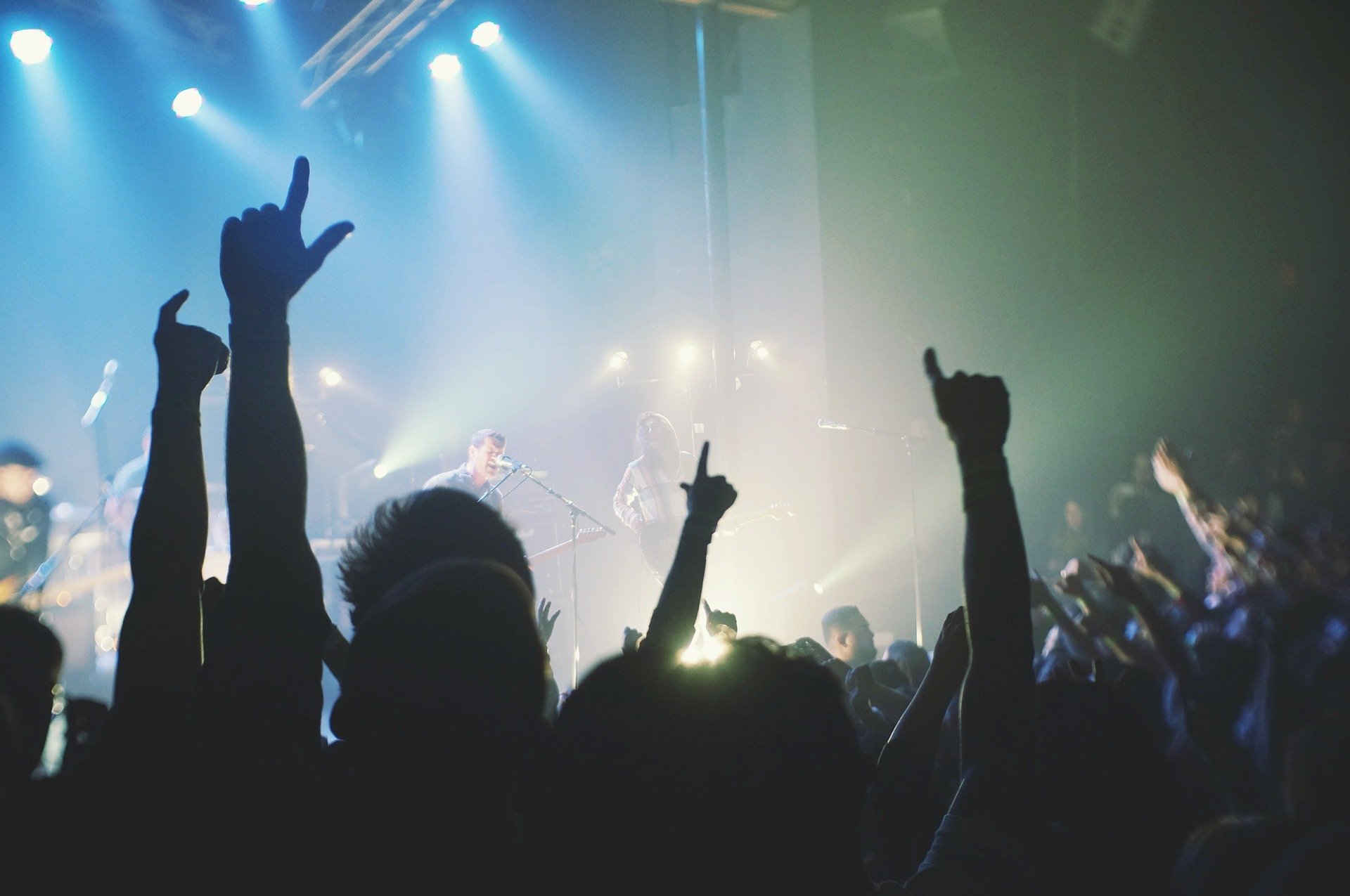 live concert loud noise induced hearing loss