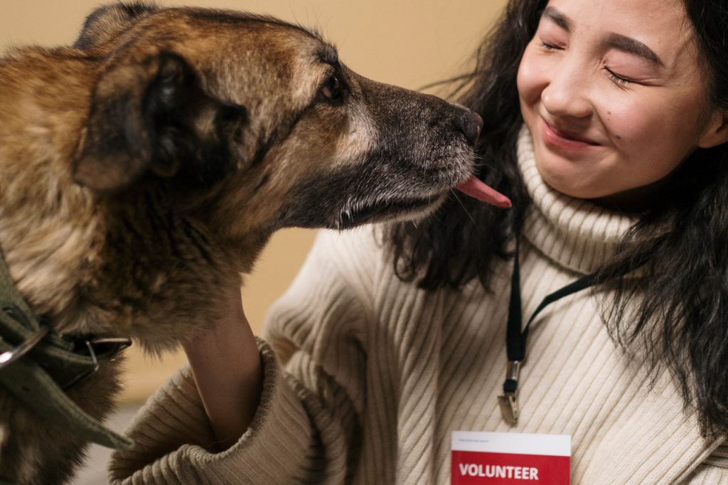 cute adorable dog and volunteer hearing loss depression
